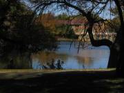 The Refectory from across the lagoon