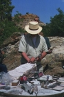 Previous image