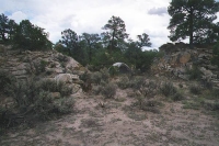 Next image